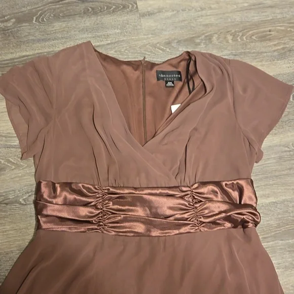 NWT CJ Banks brown chiffon dress sz 18W - Picture 2 of 3